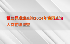 税务师成绩查询2024年官网查询入口在哪里查