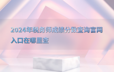 2024年税务师成绩分数查询官网入口在哪里查
