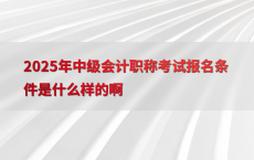 2025年中级会计职称考试报名条件是什么样的啊