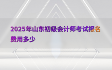 2025年山东初级会计师考试报名费用多少