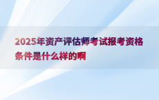 2025年资产评估师考试报考资格条件是什么样的啊