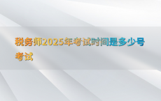 税务师2025年考试时间是多少号考试