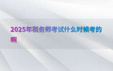 2025年税务师考试什么时候考的啊