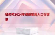 税务师2024年成绩查询入口在哪里