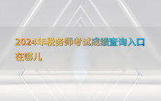 2024年税务师考试成绩查询入口在哪儿