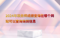 2024年税务师成绩查询在哪个网站可以查询询到信息
