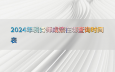 2024年税务师成绩在哪查询时间表
