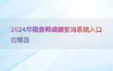 2024年税务师成绩查询系统入口在哪里