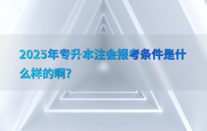 2025年专升本注会报考条件是什么样的啊?