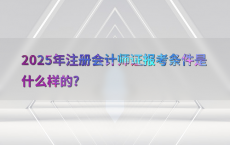 2025年注册会计师证报考条件是什么样的?