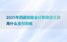 2025年西藏初级会计职称报名费用什么支付的呢