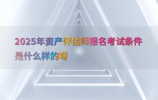 2025年资产评估师报名考试条件是什么样的呀