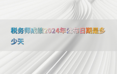 税务师成绩2024年公布日期是多少天