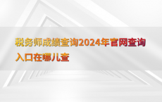 税务师成绩查询2024年官网查询入口在哪儿查