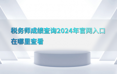 税务师成绩查询2024年官网入口在哪里查看
