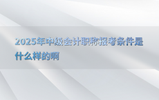 2025年中级会计职称报考条件是什么样的啊