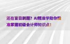还在盲目刷题？AI精准学助你精准掌握初级会计师知识点！
