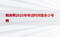 税务师2025年考试时间是多少号啊