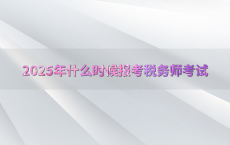 2025年什么时候报考税务师考试
