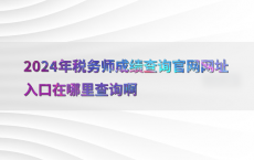 2024年税务师成绩查询官网网址入口在哪里查询啊