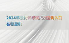 2024年税务师考试成绩查询入口在哪里啊