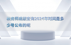 税务师成绩查询2024年时间是多少号公布的呢