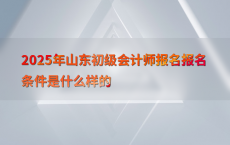 2025年山东初级会计师报名报名条件是什么样的