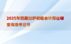 2025年西藏拉萨初级会计师在哪查询准考证号