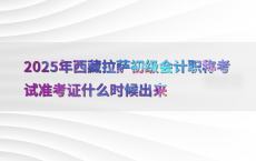2025年西藏拉萨初级会计职称考试准考证什么时候出来
