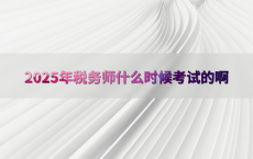 2025年税务师什么时候考试的啊