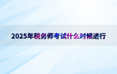 2025年税务师考试什么时候进行