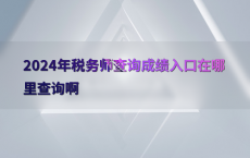 2024年税务师查询成绩入口在哪里查询啊