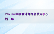 2025年中级会计师报名费用多少钱一年