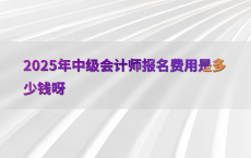 2025年中级会计师报名费用是多少钱呀