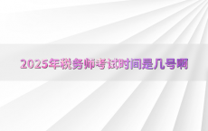 2025年税务师考试时间是几号啊