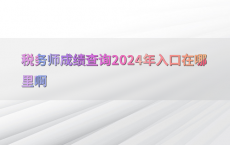 税务师成绩查询2024年入口在哪里啊