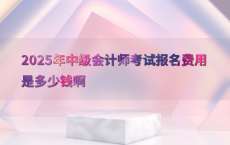 2025年中级会计师考试报名费用是多少钱啊