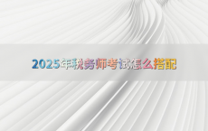 2025年税务师考试怎么搭配