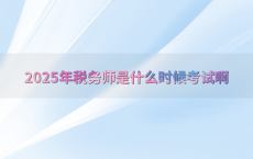 2025年税务师是什么时候考试啊