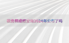 税务师成绩查询2024年公布了吗