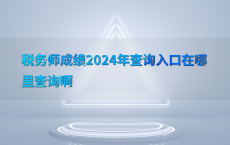 税务师成绩2024年查询入口在哪里查询啊