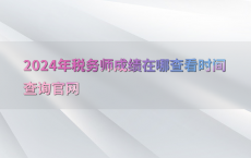 2024年税务师成绩在哪查看时间查询官网