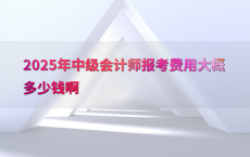 2025年中级会计师报考费用大概多少钱啊