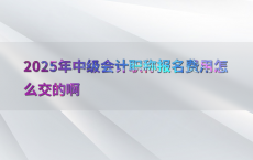 2025年中级会计职称报名费用怎么交的啊