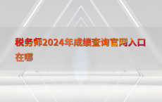税务师2024年成绩查询官网入口在哪