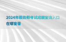 2024年税务师考试成绩查询入口在哪查看