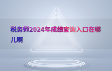 税务师2024年成绩查询入口在哪儿啊