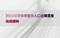 2024年税务师查分入口在哪里查询成绩啊