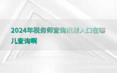 2024年税务师查询成绩入口在哪儿查询啊