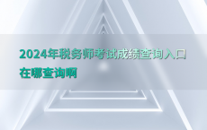 2024年税务师考试成绩查询入口在哪查询啊
